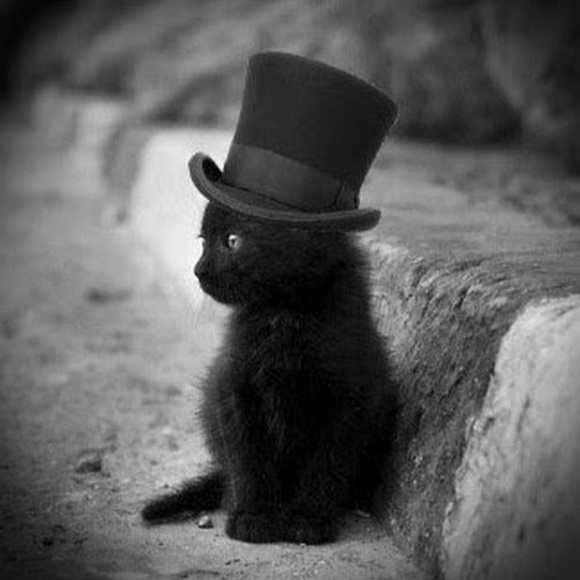 Meet your Posher, Mysti - Picture 1 of 1